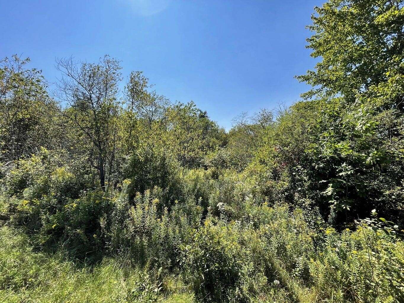 12.4 Acres of Land for Sale in East Machias, Maine