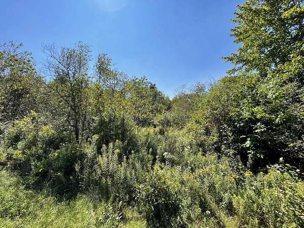 12.4 Acres of Land for Sale in East Machias, Maine