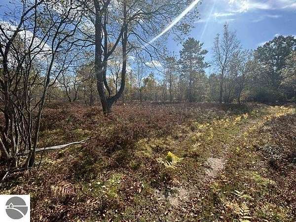 5 Acres of Residential Land for Sale in Fife Lake, Michigan