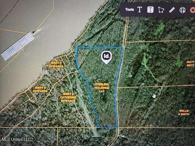 43 Acres of Recreational Land for Sale in Woodville, Mississippi