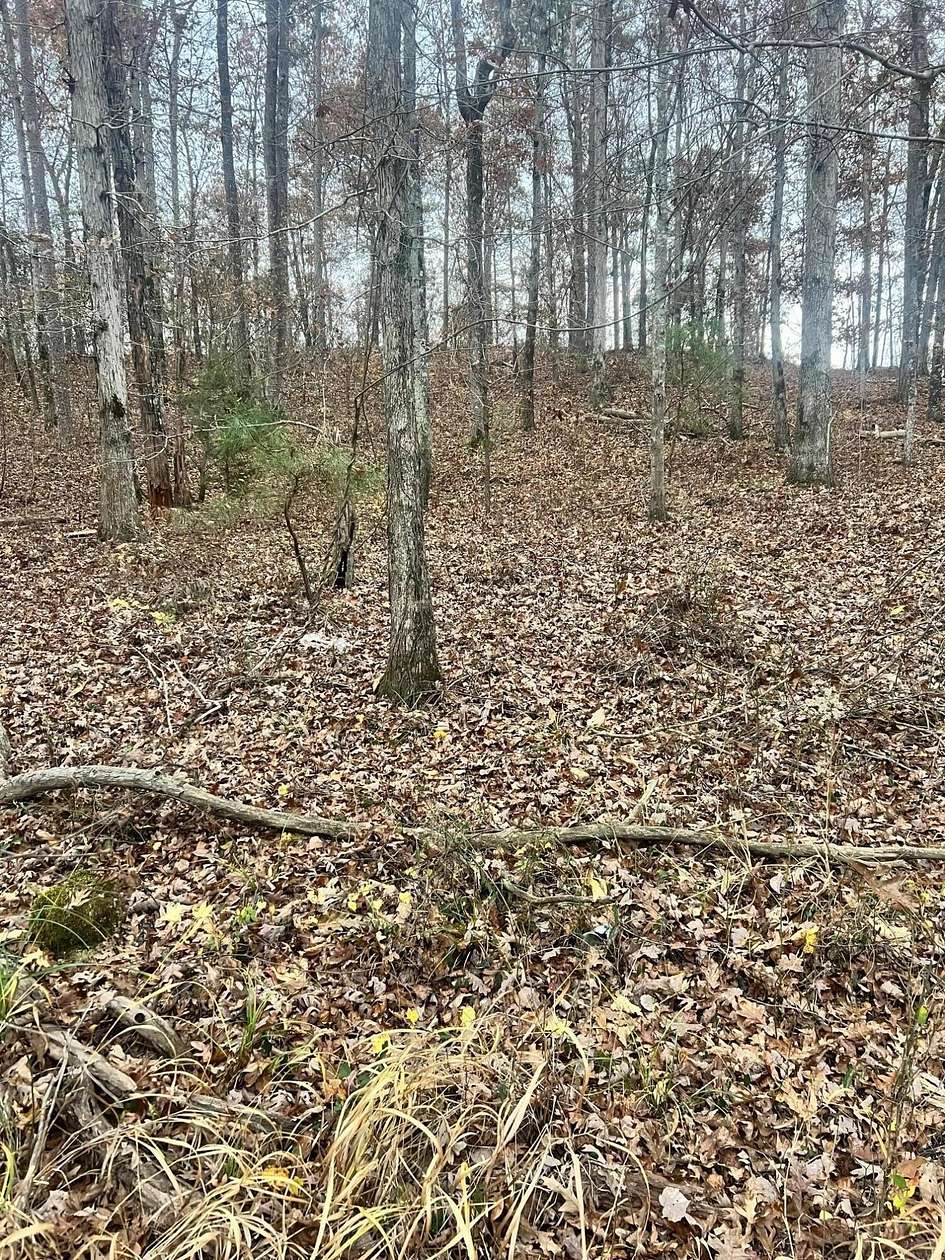1.1 Acres of Land for Sale in Arley, Alabama
