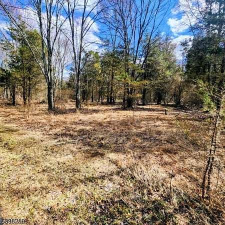 2 Acres of Residential Land for Sale in Kingwood Township, New Jersey