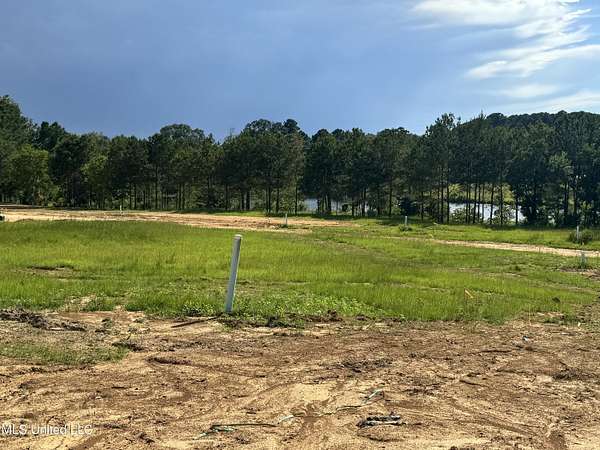 5.3 Acres of Mixed-Use Land for Sale in Jackson, Mississippi