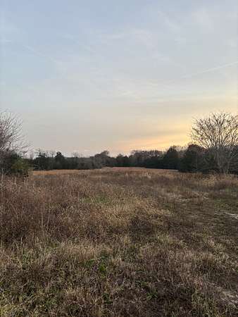 9.8 Acres of Residential Land for Sale in Lewisburg, Tennessee