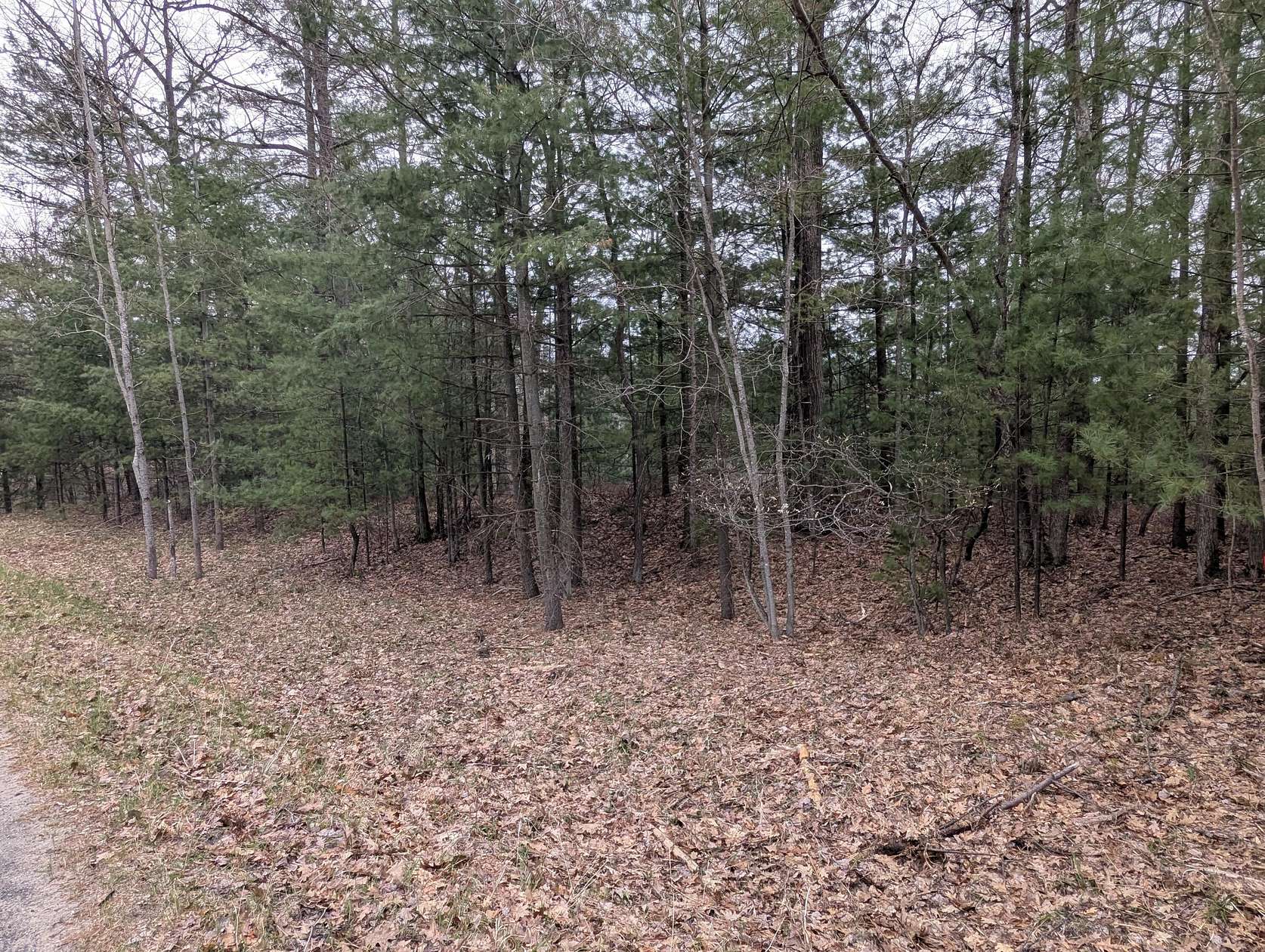 2 Acres of Land for Sale in Lake City, Michigan