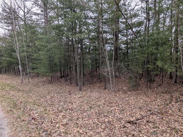 2 Acres of Land for Sale in Lake City, Michigan
