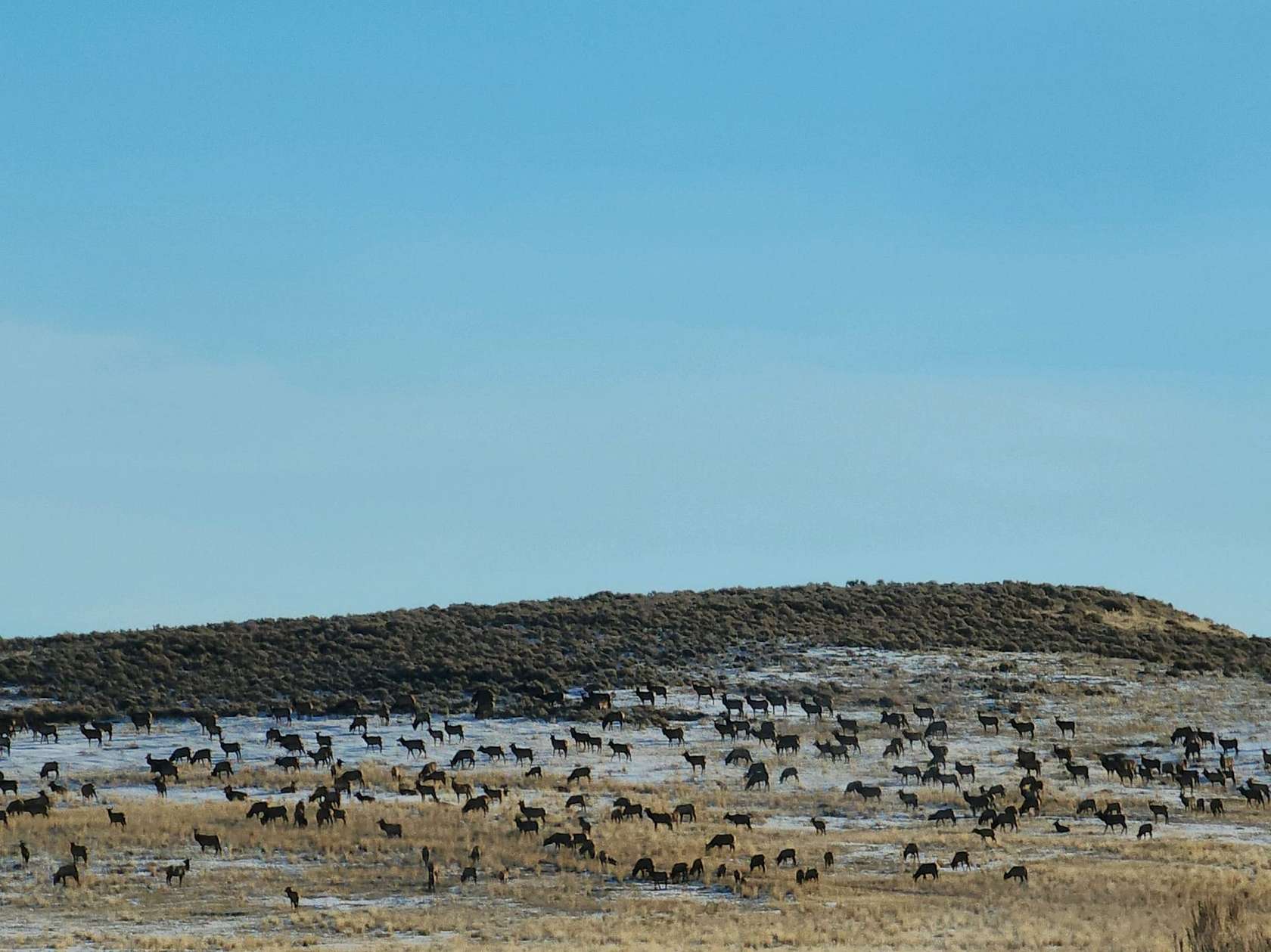 1,040 Acres of Recreational Land & Farm for Sale in Maybell, Colorado