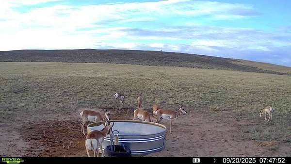 1,040 Acres of Recreational Land & Farm for Sale in Maybell, Colorado