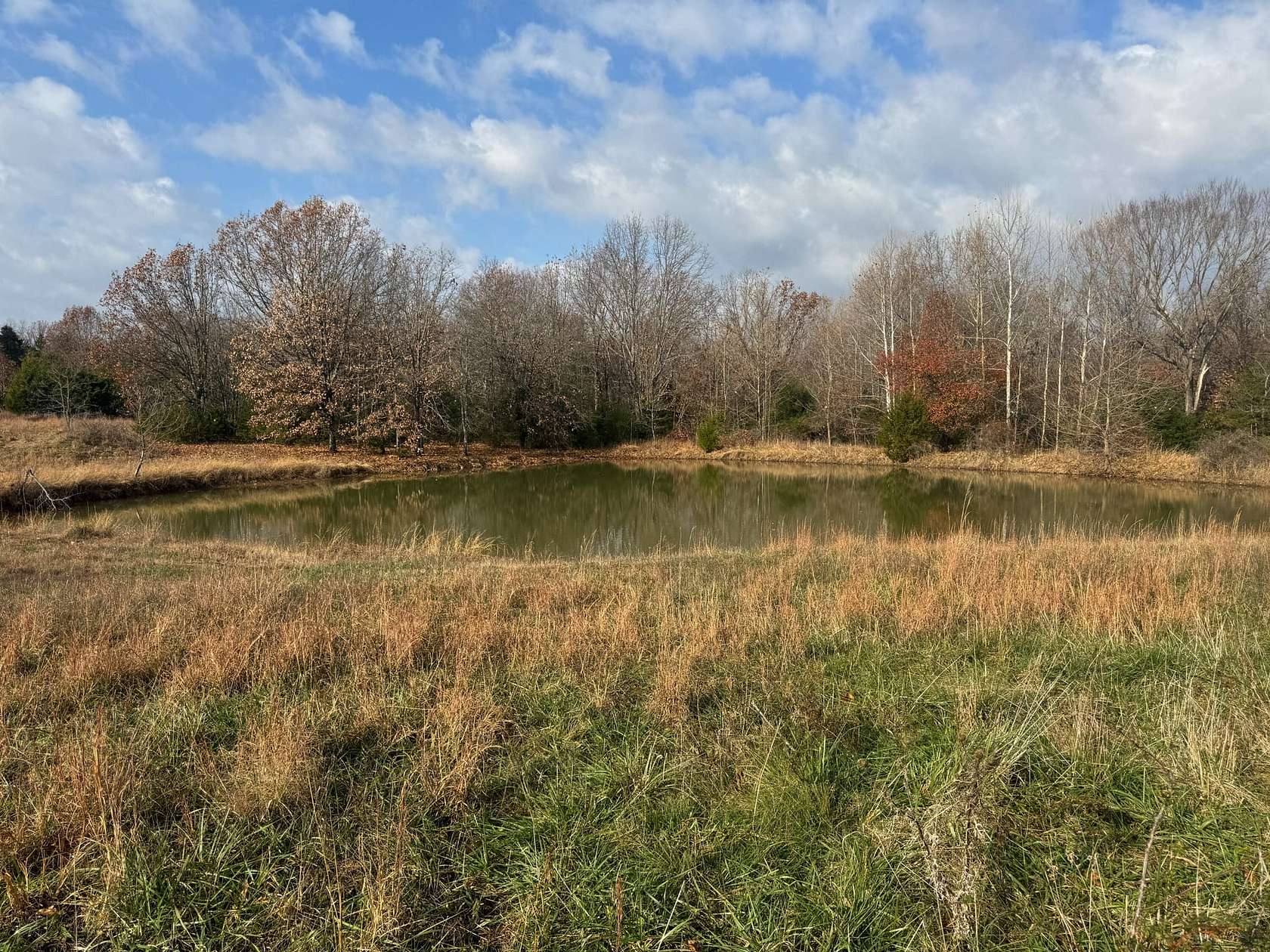 81 Acres of Recreational Land for Sale in Falcon, Missouri
