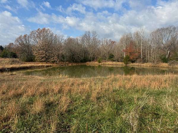 81 Acres of Recreational Land for Sale in Falcon, Missouri