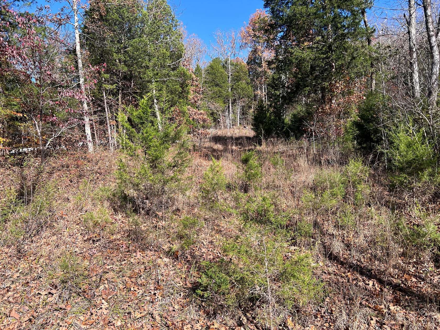 11 Acres of Recreational Land for Sale in Bowling Green, Kentucky