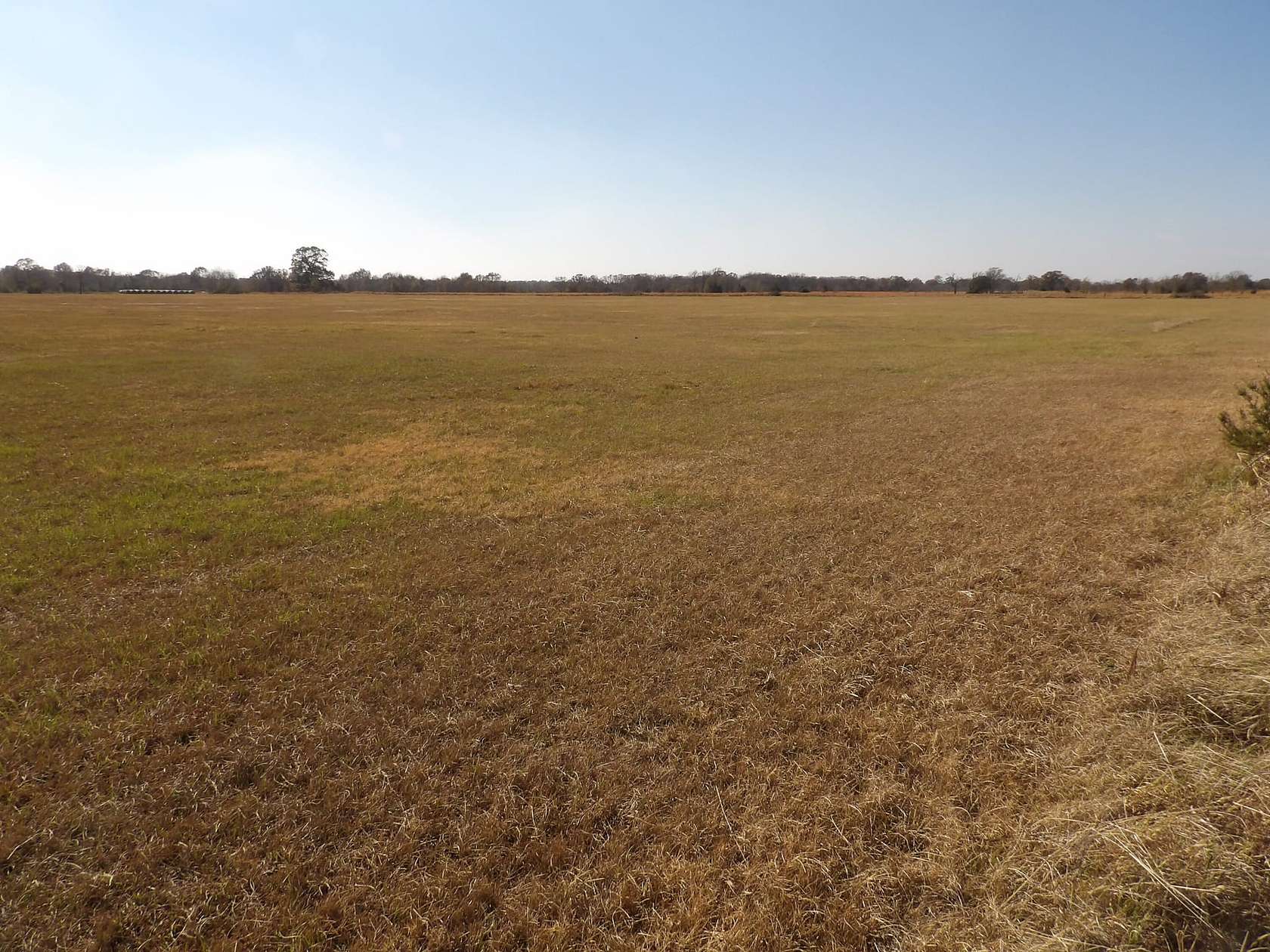25 Acres of Agricultural Land for Sale in Boswell, Oklahoma