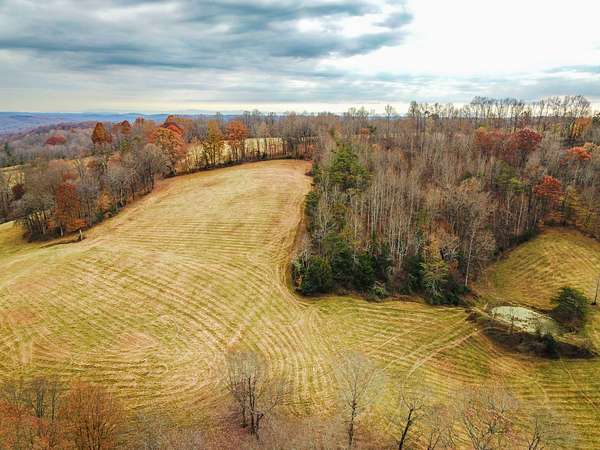 64 Acres of Recreational Land & Farm for Sale in La Follette, Tennessee