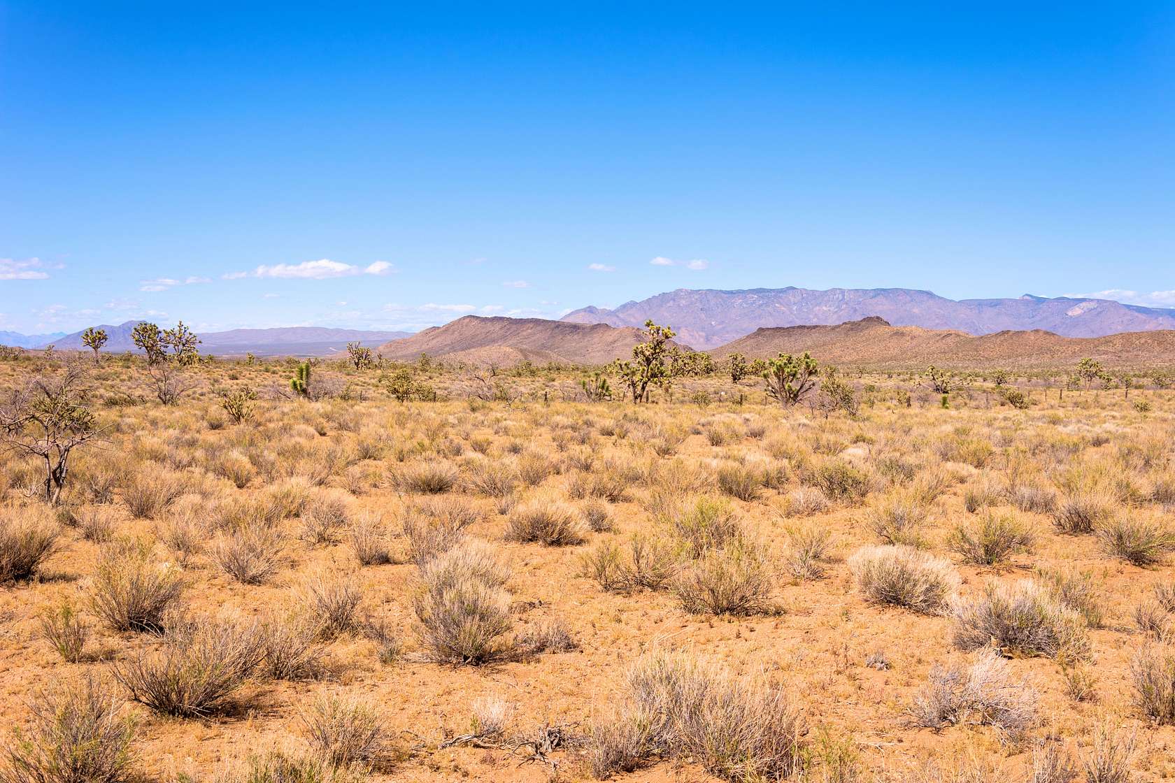 1 Acre of Residential Land for Sale in Dolan Springs, Arizona