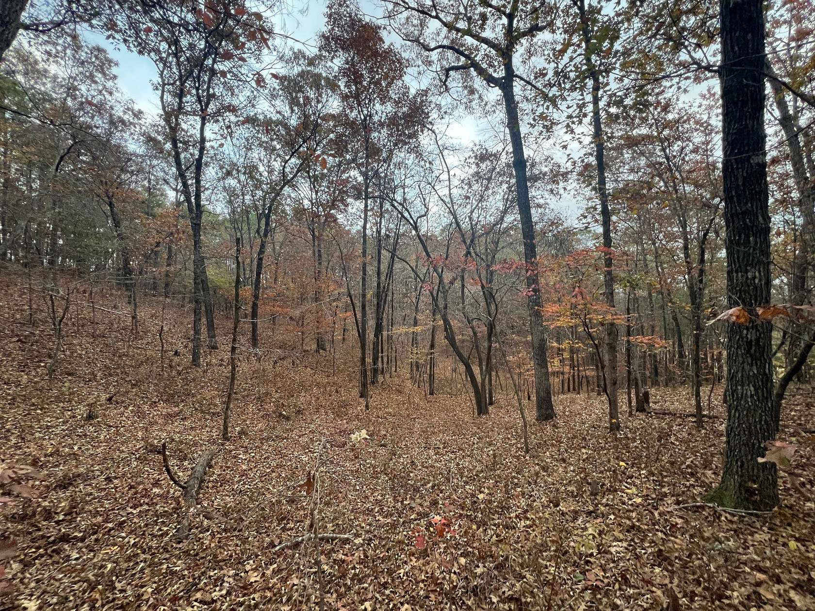 12.4 Acres of Land for Sale in Jacksons' Gap, Alabama