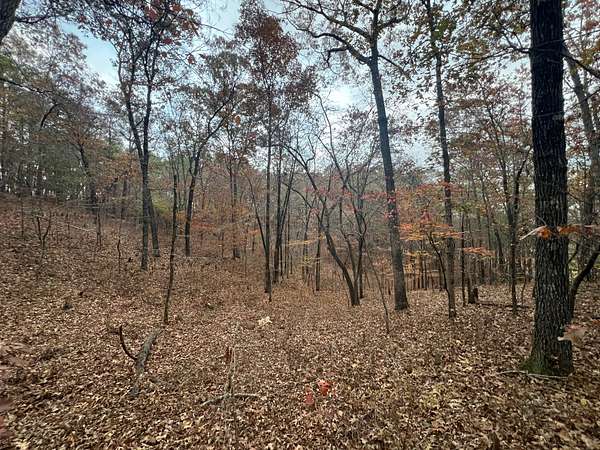12.4 Acres of Land for Sale in Jacksons' Gap, Alabama