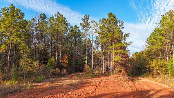 10.2 Acres of Land for Sale in La Fayette, Alabama