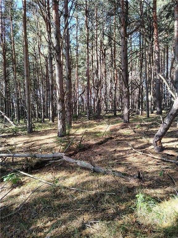 75 Acres of Recreational Land for Sale in Badoura Township, Minnesota