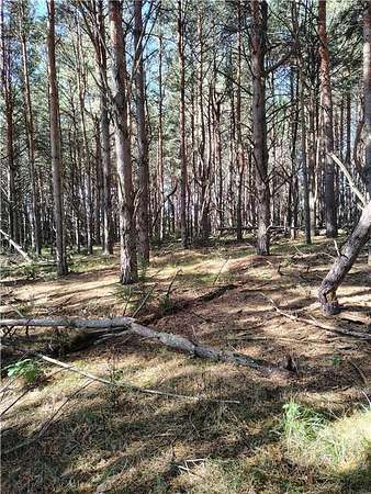 75 Acres of Recreational Land for Sale in Badoura Township, Minnesota