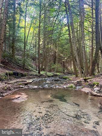 829 Acres of Recreational Land for Sale in Beech Creek, Pennsylvania