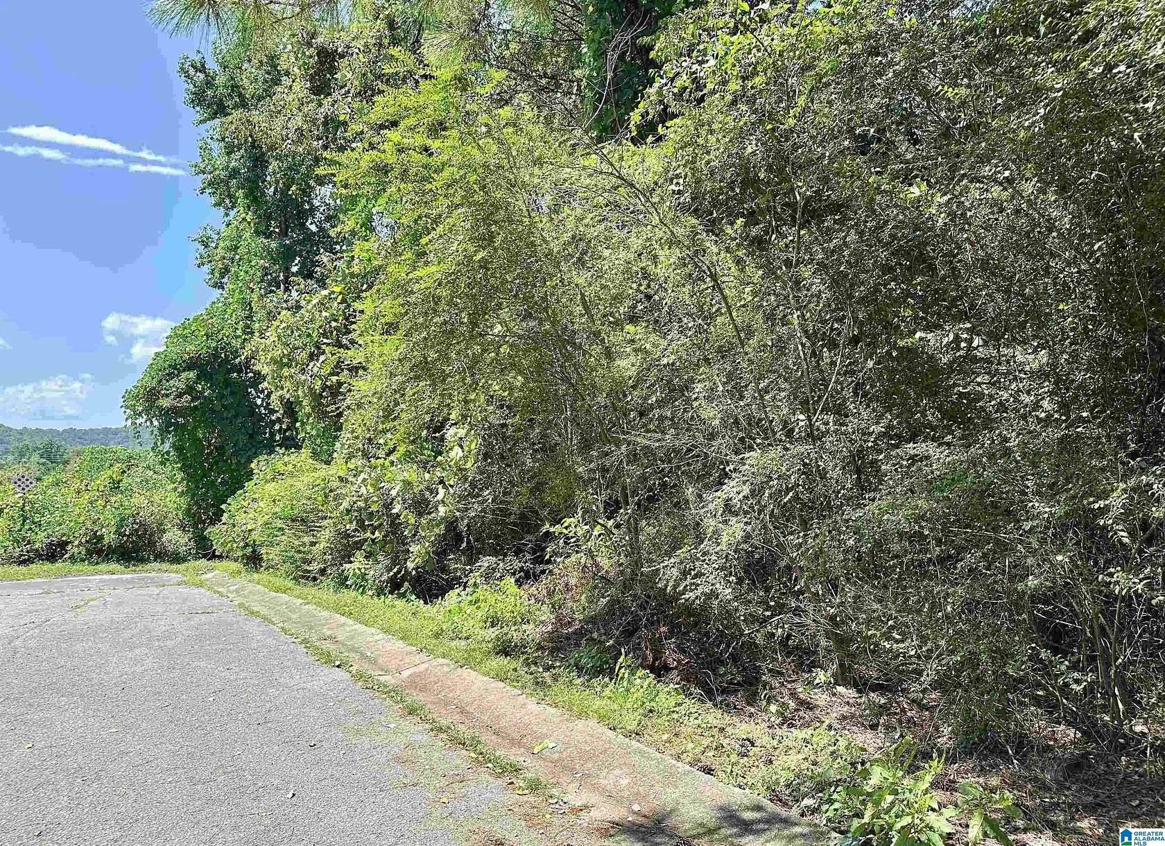 0.35 Acres of Land for Sale in Birmingham, Alabama