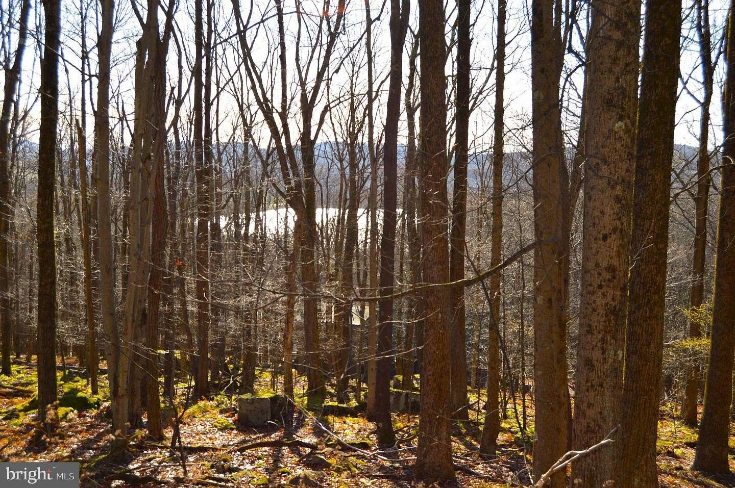 0.34 Acres of Residential Land for Sale in Terra Alta, West Virginia