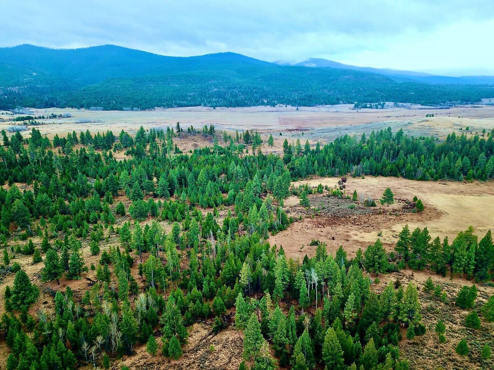 26.2 Acres of Recreational Land for Sale in Lincoln, Montana