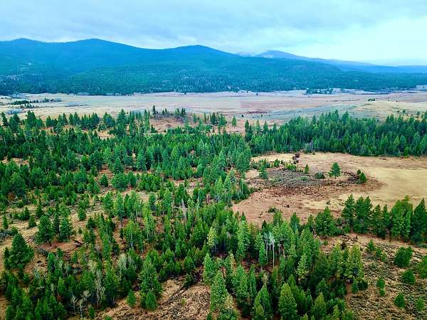 26.2 Acres of Recreational Land for Sale in Lincoln, Montana