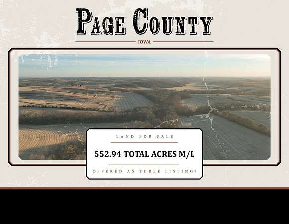 80 Acres of Agricultural Land for Sale in Amity Township, Iowa