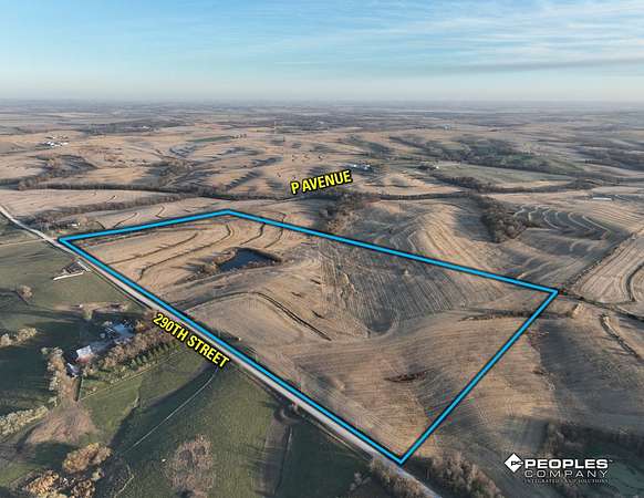 80 Acres of Land for Sale in College Springs, Iowa