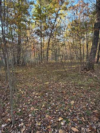 5 Acres of Land for Sale in Howard City, Michigan
