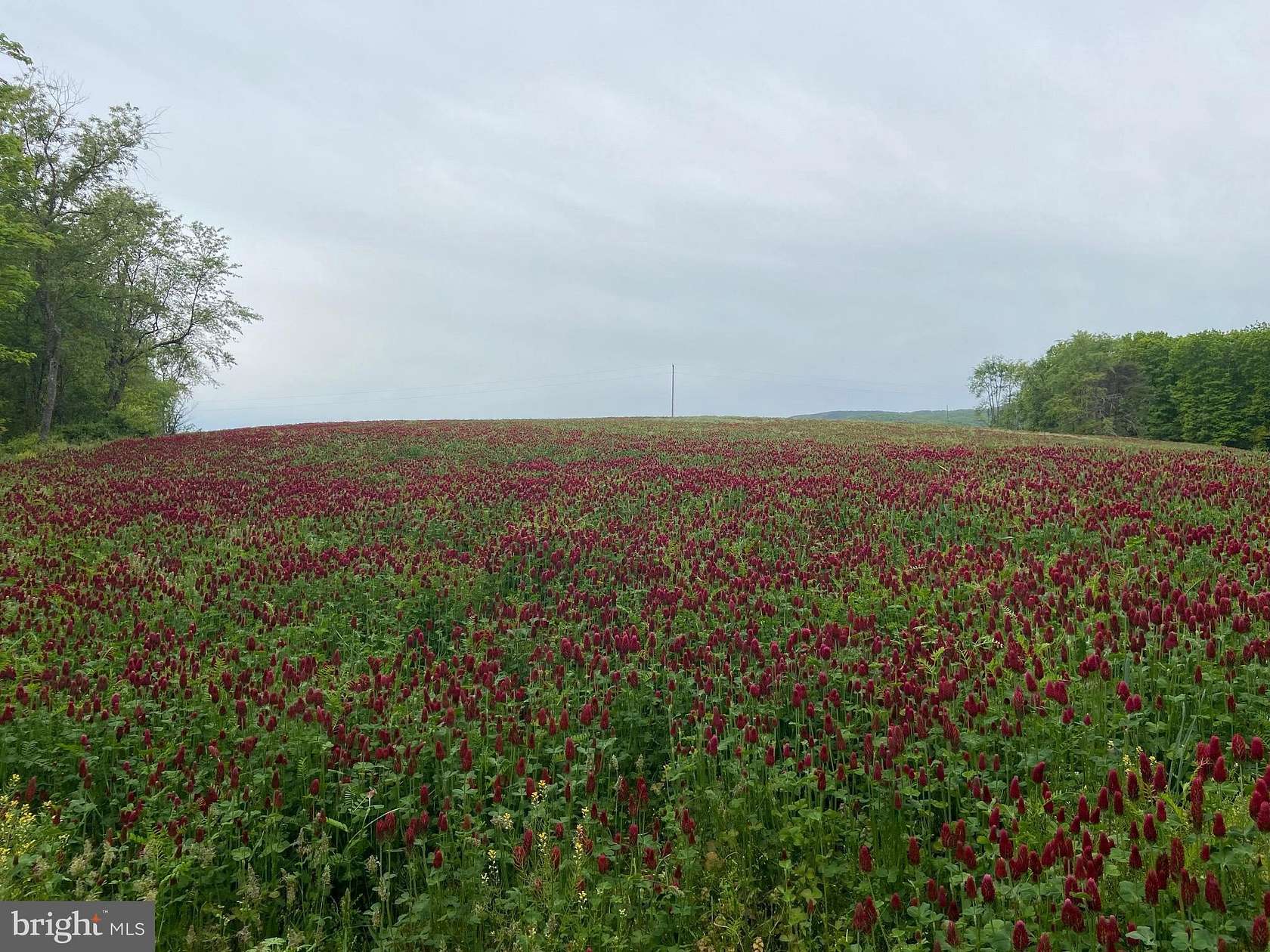 62 Acres of Recreational Land & Farm for Sale in Needmore, Pennsylvania