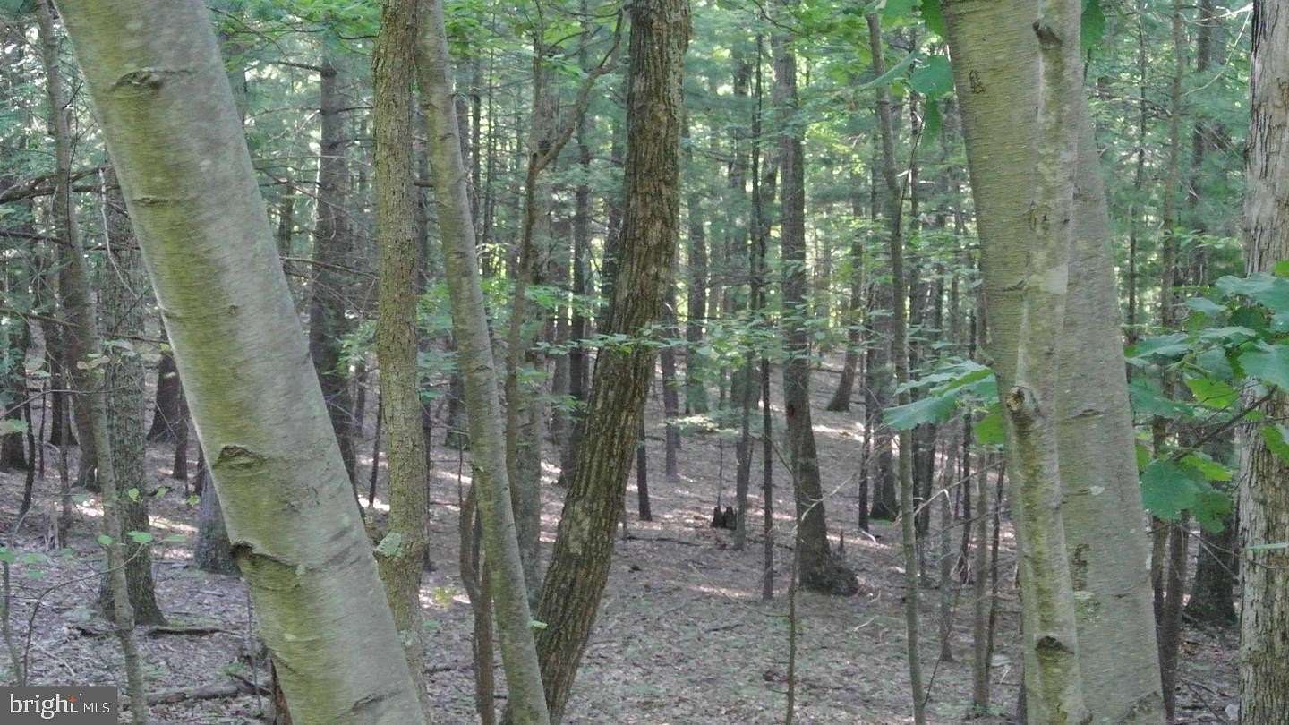 2 Acres of Land for Sale in Great Cacapon, West Virginia