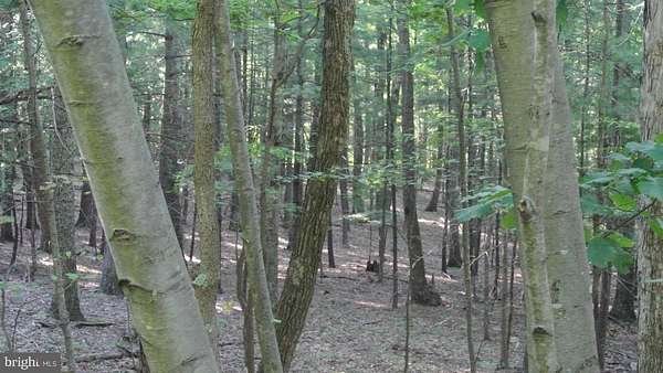 2 Acres of Land for Sale in Great Cacapon, West Virginia