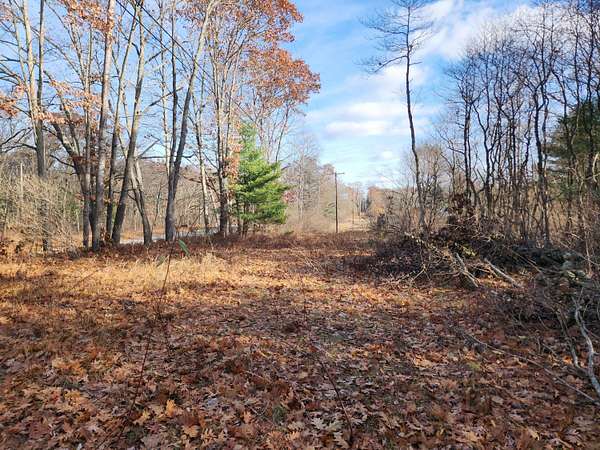 5 Acres of Land for Sale in Baldwin, Michigan