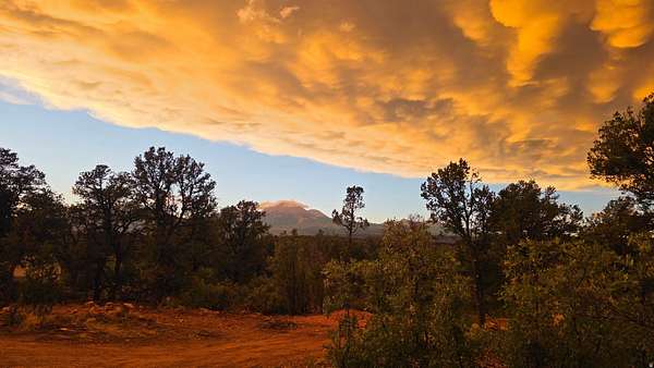 38.3 Acres of Recreational Land for Sale in La Sal, Utah