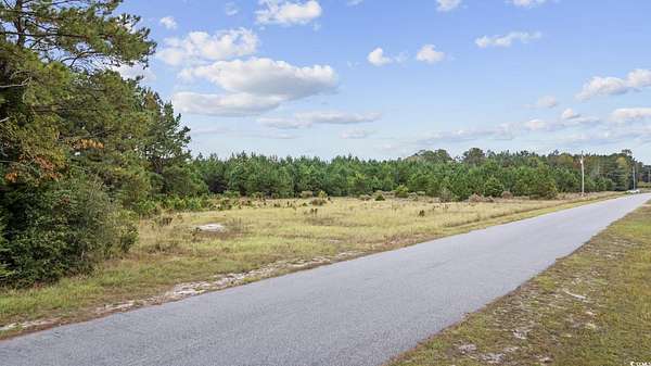 25.2 Acres of Agricultural Land for Sale in Nichols, South Carolina