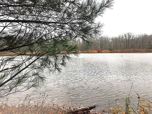 82 Acres of Recreational Land for Sale in Comstock, Wisconsin