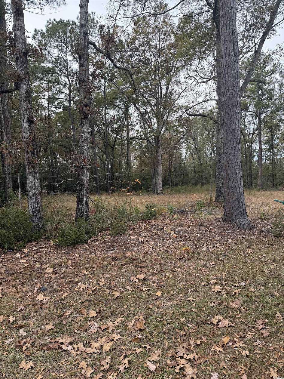 0.26 Acres of Residential Land for Sale in Johnsonville, South Carolina
