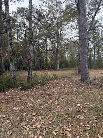 0.26 Acres of Residential Land for Sale in Johnsonville, South Carolina