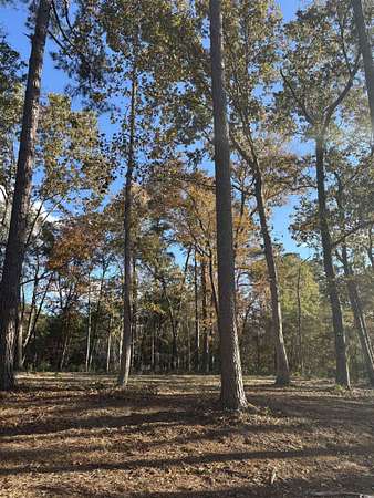 0.41 Acres of Residential Land for Sale in Johnsonville, South Carolina
