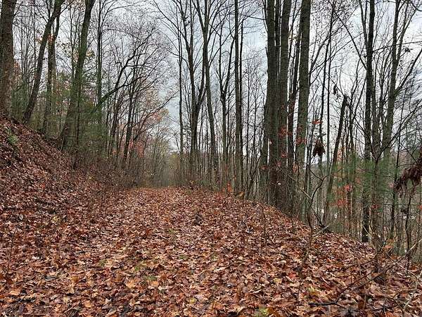 3.8 Acres of Land for Sale in Blairsville, Georgia