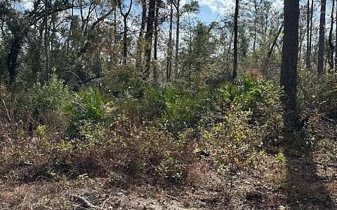 0.73 Acres of Residential Land for Sale in Jasper, Florida