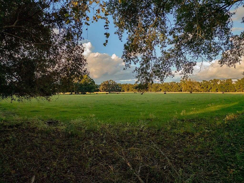 39.5 Acres of Agricultural Land for Sale in Trenton, Florida