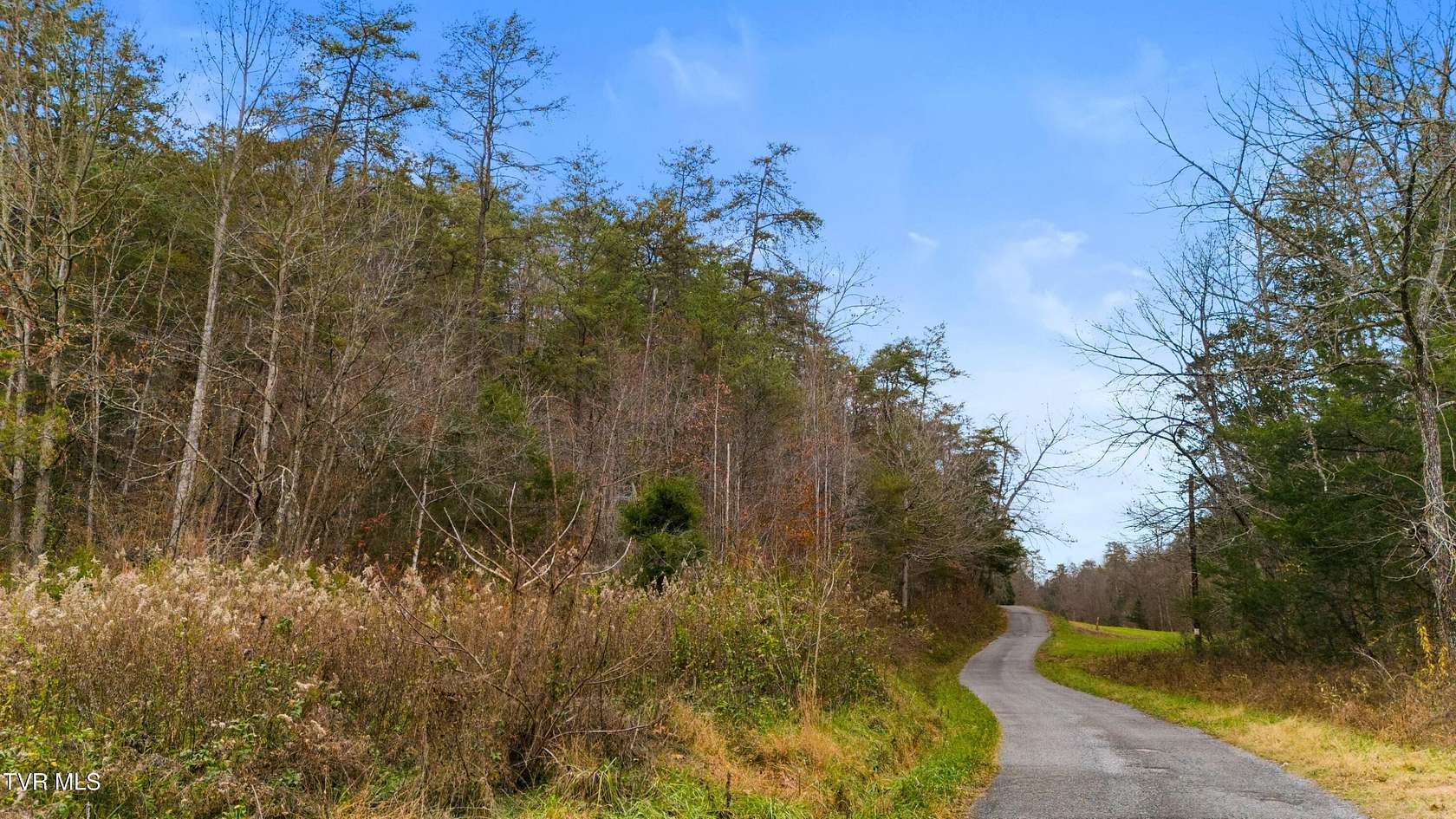 46 Acres of Land for Sale in Eidson, Tennessee