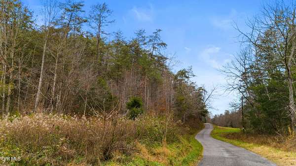 46 Acres of Land for Sale in Eidson, Tennessee
