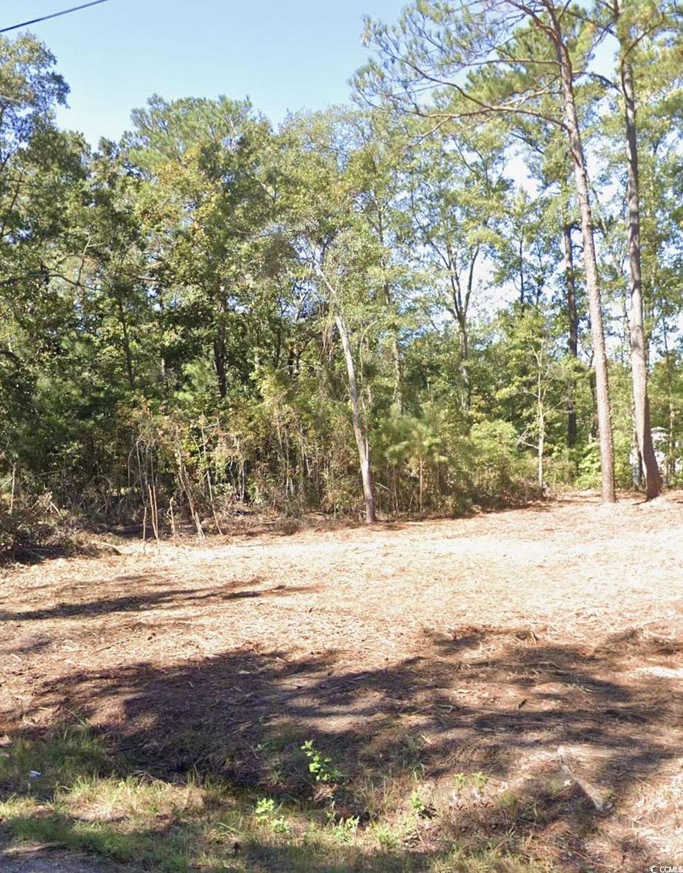 0.25 Acres of Residential Land for Sale in Johnsonville, South Carolina