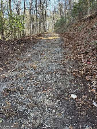 1.87 Acres of Residential Land for Sale in Tiger, Georgia