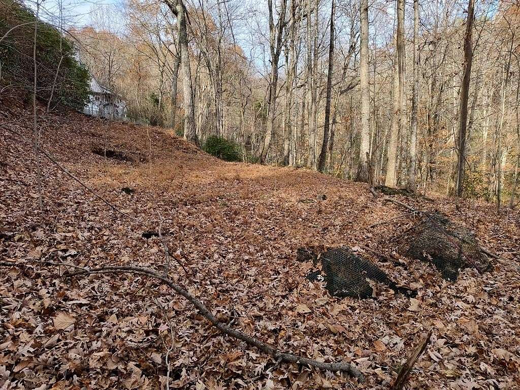1 Acre of Land for Sale in Ellijay, Georgia