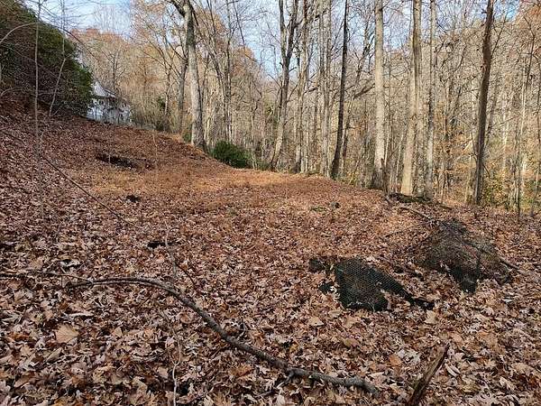 1 Acre of Land for Sale in Ellijay, Georgia